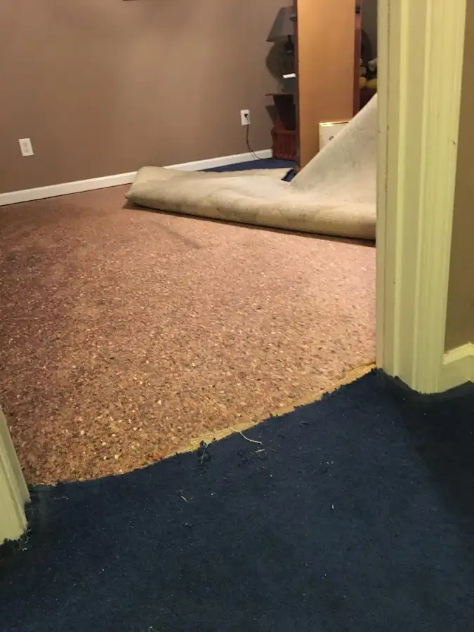 Carpet pad removal revealing water damage during Water Mitigation Services in Nelson